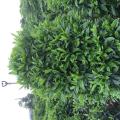 非洲茉莉