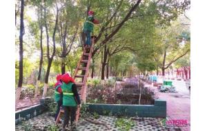 苏州专家“把脉”常德生态园林和绿化建设