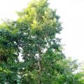 万紫千红