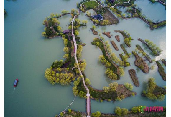 太湖生态湿地尽显江南湿地独有春色