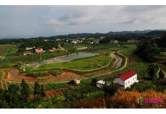 广东将建10个农业公园 园林景观主打浪漫主义