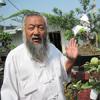 古月子：根雕大师专注盆景创作