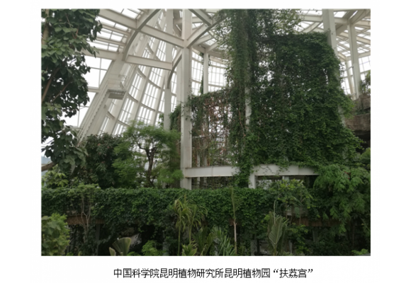 昆明植物园扶荔宫成普及植物知识的重要基地