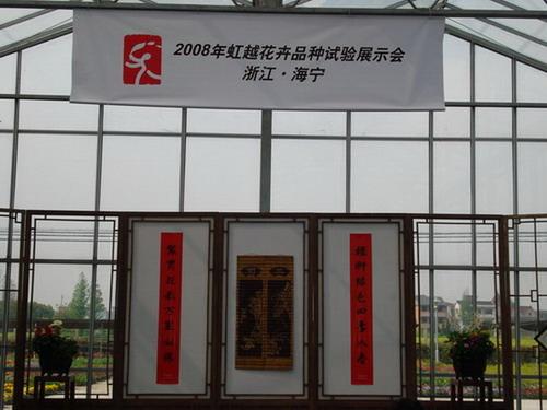08虹越花卉品种展示会 新品花卉多 样子更娇俏