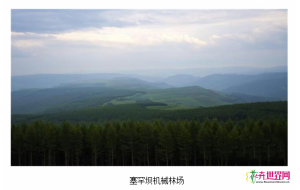 绿色奇迹——塞罕坝从一棵树到一片“海” 绿色奇迹——塞罕坝从一棵树到一片“海”