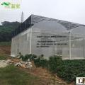 大棚蔬菜防寒抗冻措施，蔬菜种植实用典范，温室大棚施工