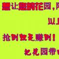 朴树