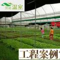 供应蔬菜大棚，大棚生产供应商--18988967562