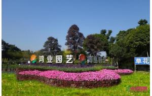 【优秀花卉企业】鸿业园艺年产时花800万盆,任君选择 【优秀花卉企业】鸿业园艺年产时花800万盆,任君选择