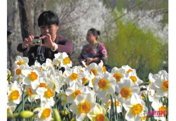 北京四月赏花最佳