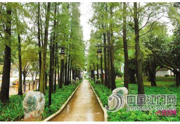 广东：开平投入7500万元 推进园林绿化工作 