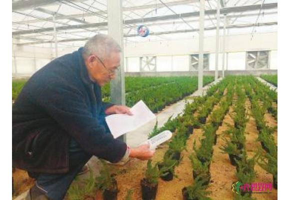 山东:济阳试种新花卉-10℃仍开花 山东:济阳试种新花卉-10℃仍开花
