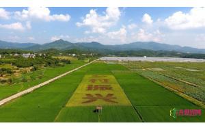 深入实施乡村振兴战略,书写好中华民族伟大复兴的“三农”新篇章 深入实施乡村振兴战略,书写好中华民族伟大复兴的“三农”新篇章