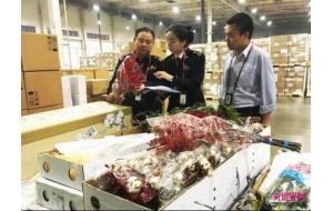 郑州海关首次监管荷兰鲜花入境