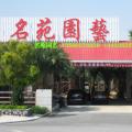 华棕（档口门面）