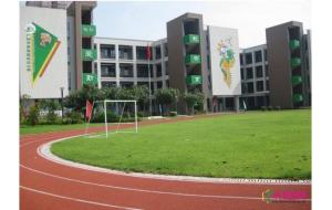 大规模绿化全川校园 四川学校绿化率将达90%以上 大规模绿化全川校园 四川学校绿化率将达90%以上