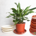 环保双色花盆 pp塑料盆