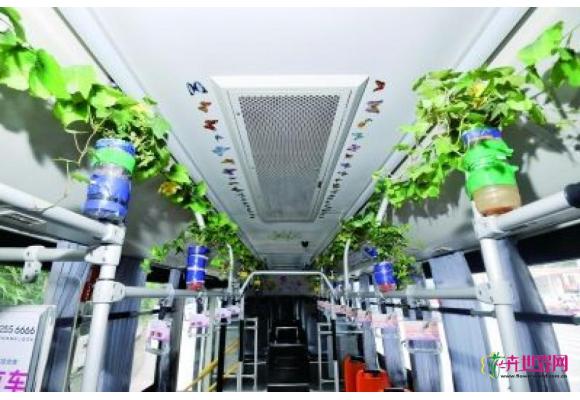 公交车上“种”绿植 乘客看法不一 您怎么看？