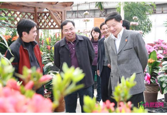曾培炎