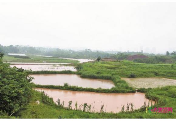 重庆铜梁：未雨绸缪 大暴雨未造成大灾情
