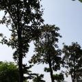 玉堂春