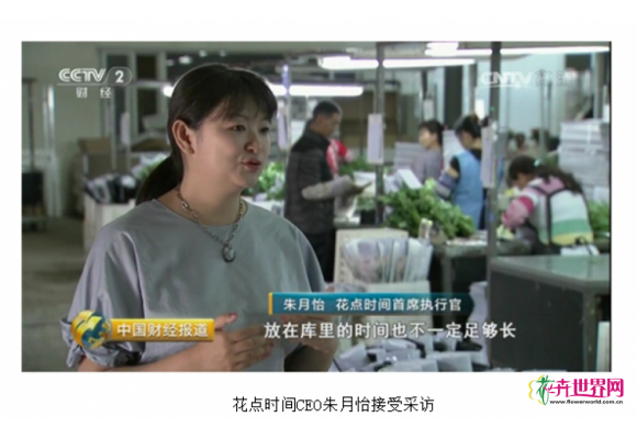 中国财经深度探访鲜花产业背后 中国财经深度探访鲜花产业背后