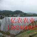 绿色环保大棚骨架、保温板大棚骨架、塑料大棚骨架、玻璃钢大棚骨架