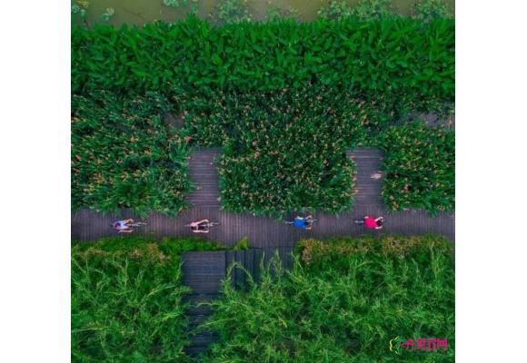 广州天河智慧城大观湿地公园华丽转身对外开放