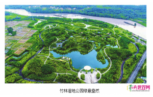 中国首家竹林湿地公园