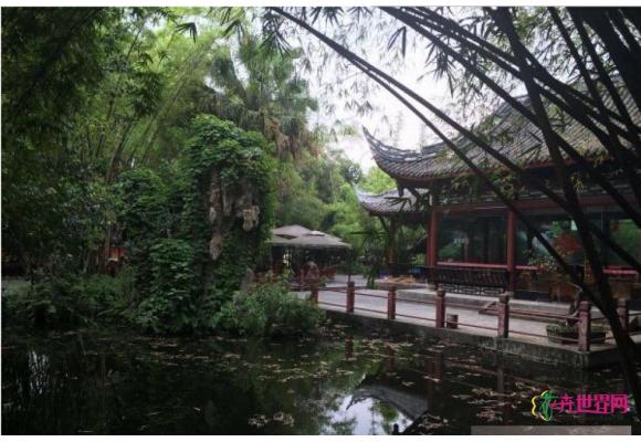 四川：棠湖公园打造“水下森林”