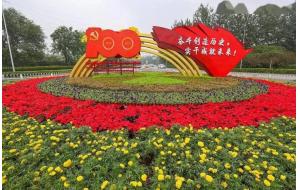 花期超长，畅销世界——万寿菊