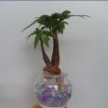 花盆/花篮/花瓶