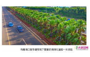 海南：海口首条海绵化道路“颜值”初长成