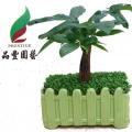 小森林