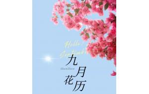 秋日的风偷恋花的香气，九月的花又住进谁的心里
