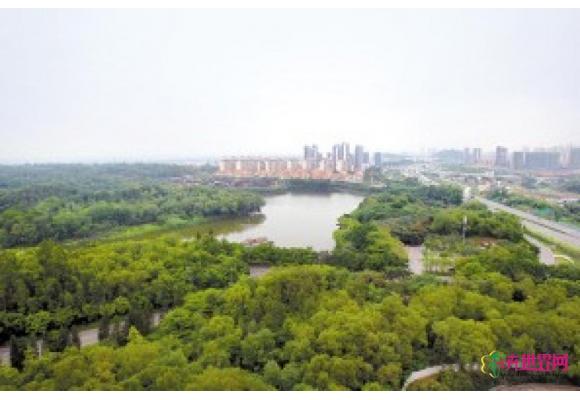 广东省绿化考核佛山获第一
