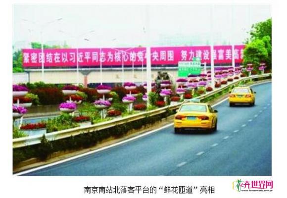 南京市首条“鲜花匝道”惊艳亮相 南京市首条“鲜花匝道”惊艳亮相
