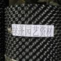 控根器