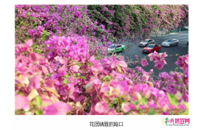 福建泉州“一路一景”见成效