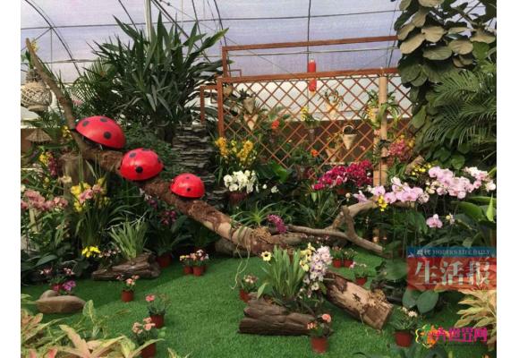 广西：花卉公园花卉展示馆免费开放