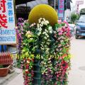 万能盆（组合盆）