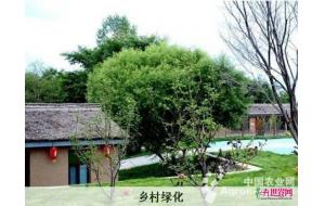 国家林业局启动乡村绿化美化工程