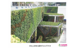 最大面积立体绿化亮相高铁福田站