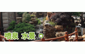 栏目介绍 -喷泉