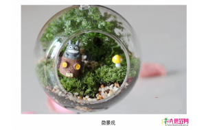 微景观讨人喜欢 为什么却被称为“小众中的战斗机”? 微景观讨人喜欢 为什么却被称为“小众中的战斗机”?