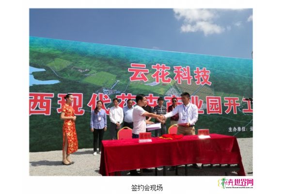 云南泸西现代花卉产业园正式开建