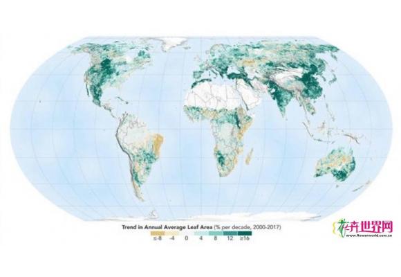 全球增绿的中国贡献 