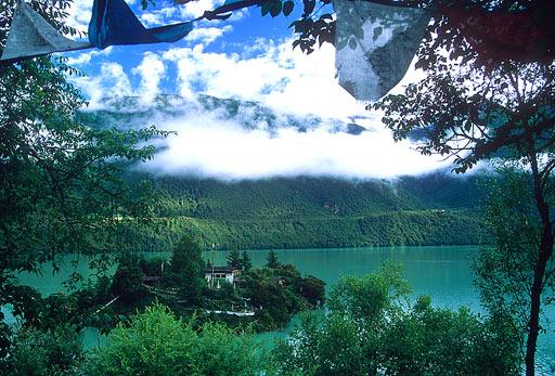 陈亚德：湛江花卉苗木产业腾飞指日可待