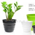 花盆/花篮/花瓶