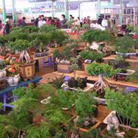 斗南花卉市场2007年10月26日报价 斗南花卉市场2007年10月26日报价
